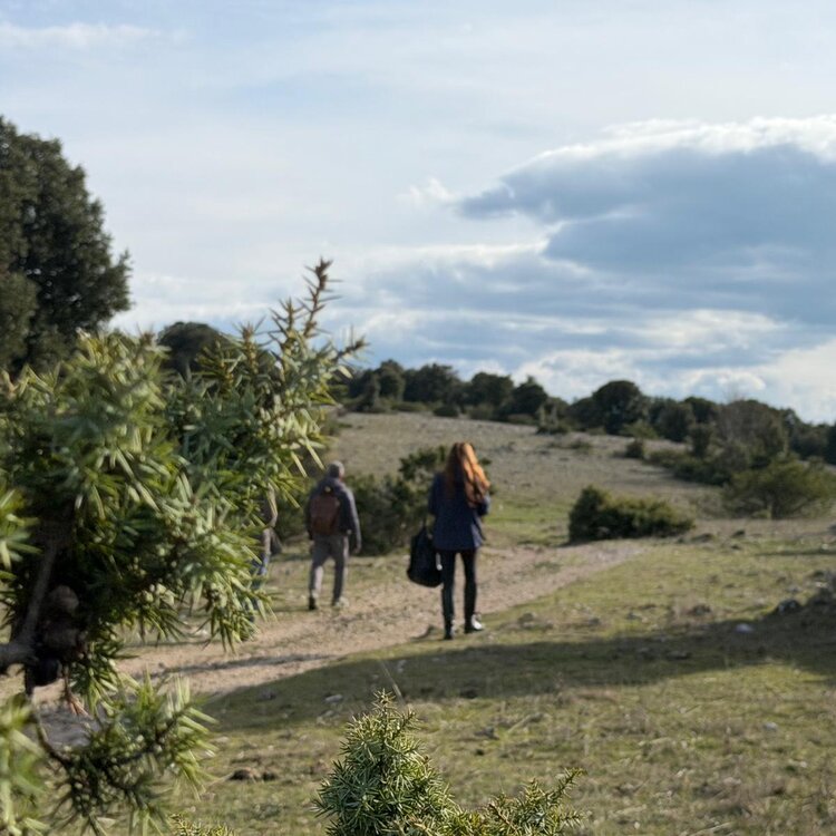 Whatsapp Image 2026 04 07 At 23 31 41